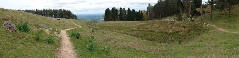 Ekialdeko zohikaztegia, Iparraldeko isurialdean