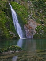 Osinberdeko urjauzia