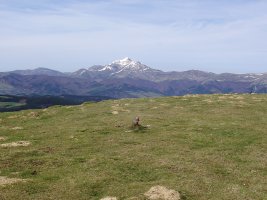 Gailurra eta, atzean, Ori