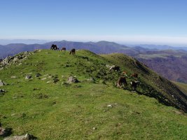 Gailurretik mendebalderantz