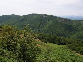 Burdindogi Erregerenatik