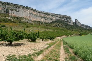 Hegoaldeko horma, Ziritza aldetik ikusita