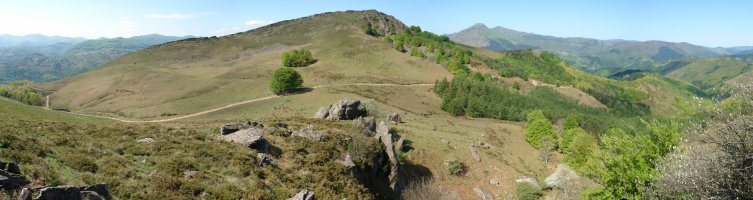 Meate aldetik ikusita