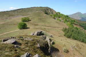 Meate aldetik ikusita