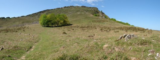 Meateko lepotik ikusita