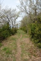 Bizkarreko bidea, Ekialdean