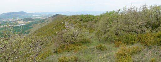 Mendebaldeko bizkarraren ikuspegia