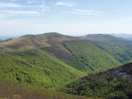 Txangoa,Mendimotzetik ikusita