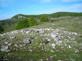 Santa Marinako trikuharria