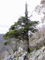 Agin bat hego isurialdean