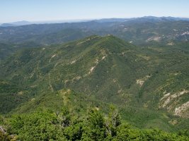 Txitxirimuria, Kukularen anaia