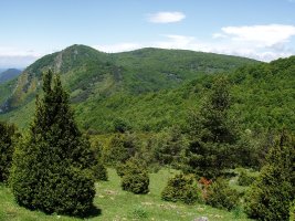 Motxorro eta Baigura, Areta atakaren inguretatik