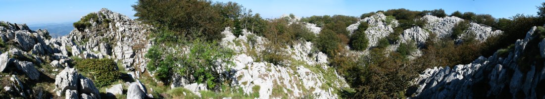 Tontorraren inguruko ikuspegi bat