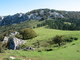 Ezkumin aldetik ikusita