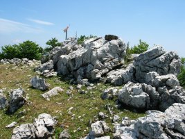 Artatxaganeko tontorra