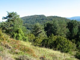 San Quirico aldetik ikusita