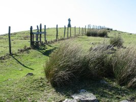 Tontorraren inguruak