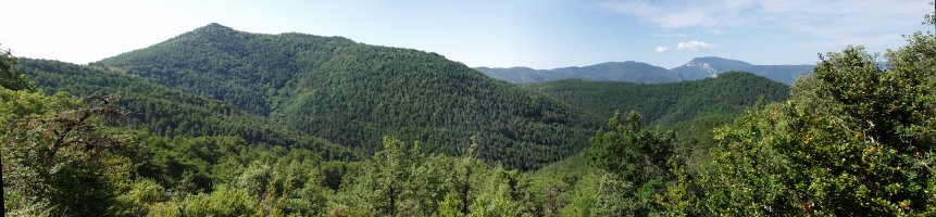 Txitxirimuria iparretik