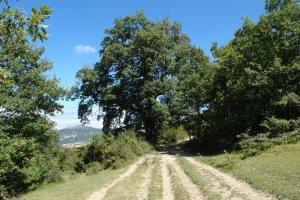 Egillor aldeko bidea