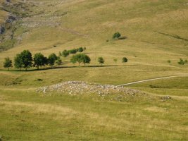 Pagobakoitza trikuharria