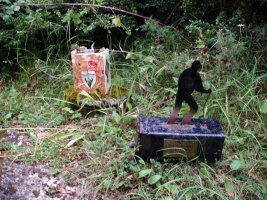 Ortxikaskoko txartelontziak