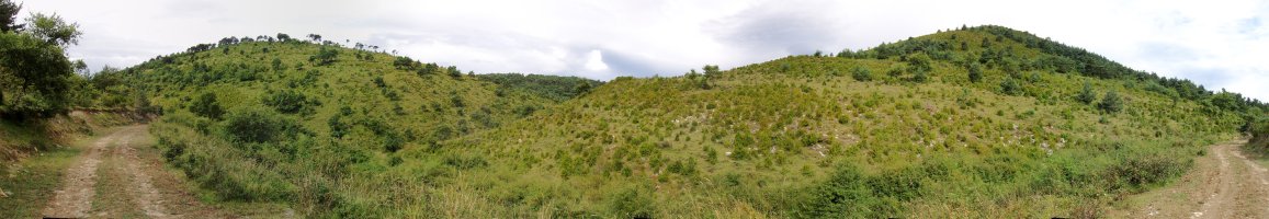 Illarraga eta Landakoa