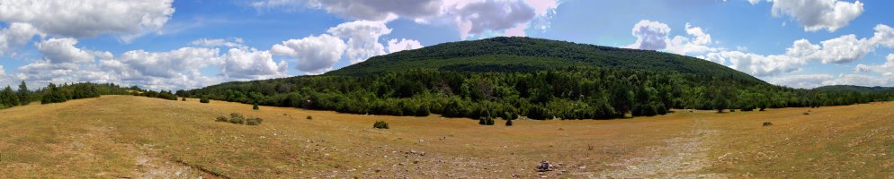 Legarozko belardiak eta Borreguil