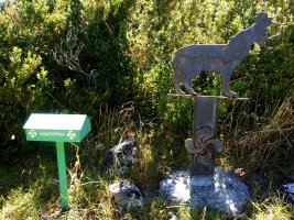 Monterriako gailurra