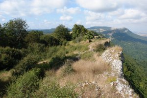 Bigatetik Mra begira