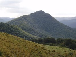 Mozoloandi Ezkandako lepotik
