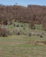 Bardoitzako (Eraul) gailurra (1110m)