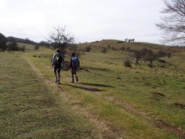 Bardoitzako belardiak. Eskuinean, 1017 metroko kota