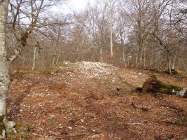 Pedro Txikiko trikurarria, Pilatosen Balkoitik hurbil