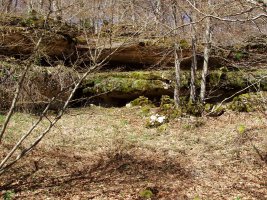 Ekaitzatik hurbil, Urbasako "Haitzuloak"