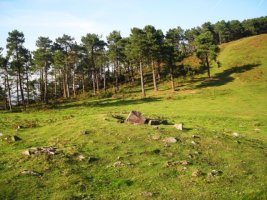 Pozontarriko lepoko trikuharria