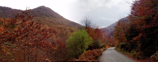 Mozoloandi Oriondik jaisten den pistatik