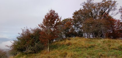 Mozoloandiko gailurra