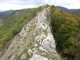 Ekialdeko gandorreko pasartea