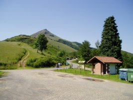 Lizarmeaka lepotik ikusita, ipar-ekialdetik