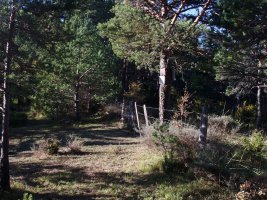 Ugazkioko lepoa, Itzalle eta Adoain artean