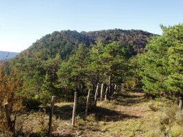 Kurkuxulo Adoaingo lepotik