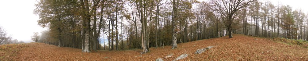 Tontorreko ikuspegi zabala