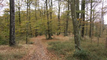 GR20 bidea Ekialdeko bizkarrean