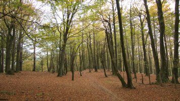 GR20 bidea Ekialdeko bizkarrean