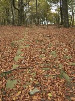 Bernoako galtzada zaharra Ekialdeko bizkarrean