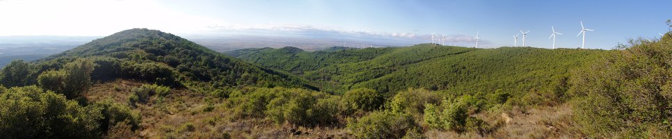 Vallervitos mendia (794m)