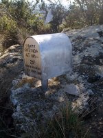 Gailurreko beste buzoia