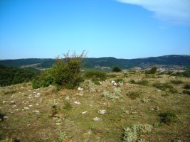 Alto de Irurbe 1  tumulua