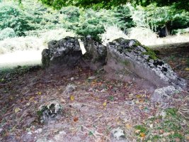 Portillo de las Majadas de Eulate trikuharria