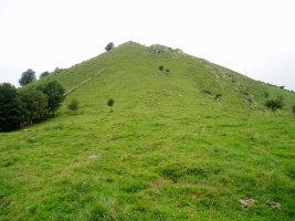 Mendebaldeko lepotik ikusita